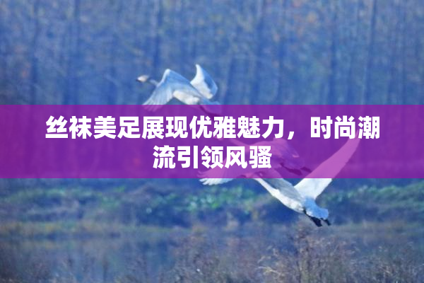丝袜美足展现优雅魅力，时尚潮流引领风骚