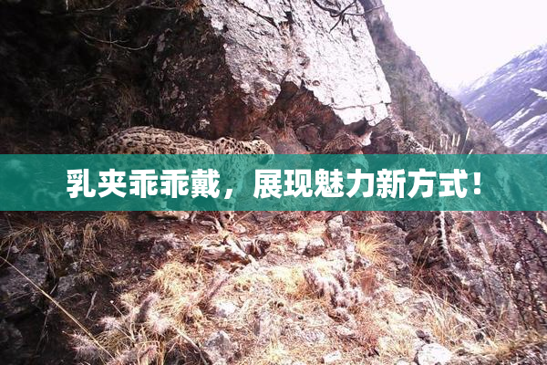 乳夹乖乖戴，展现魅力新方式！