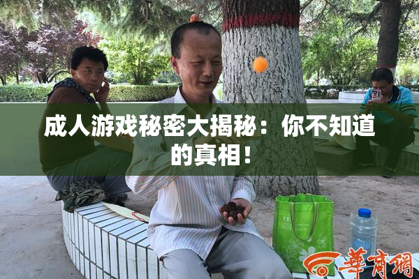 成人游戏秘密大揭秘：你不知道的真相！