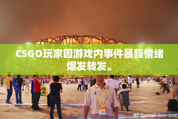 CSGO玩家因游戏内事件暴躁情绪爆发转发。