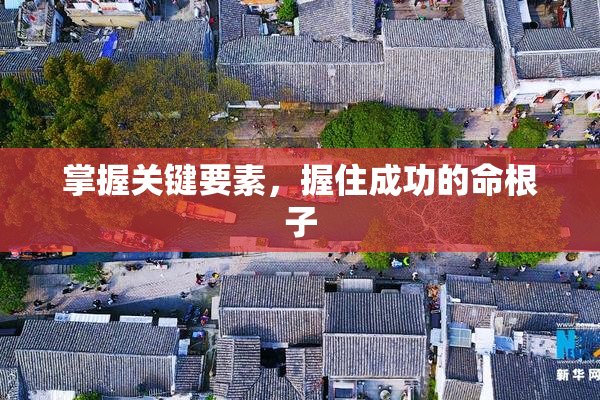 掌握关键要素，握住成功的命根子