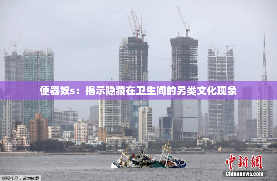 便器奴s：揭示隐藏在卫生间的另类文化现象