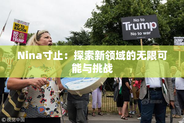 Nina寸止：探索新领域的无限可能与挑战