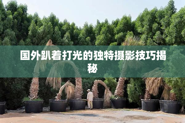 国外趴着打光的独特摄影技巧揭秘