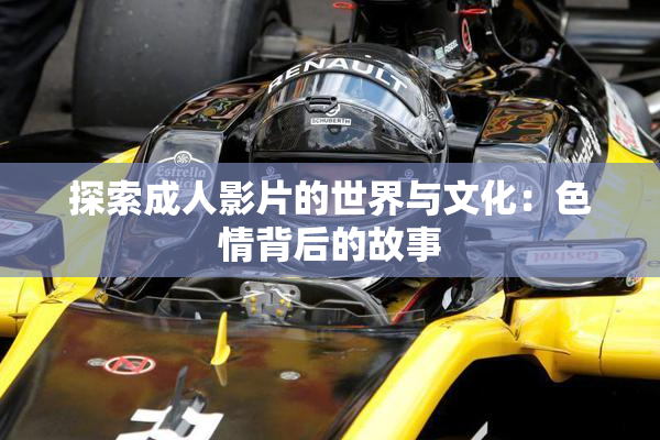 探索成人影片的世界与文化：色情背后的故事