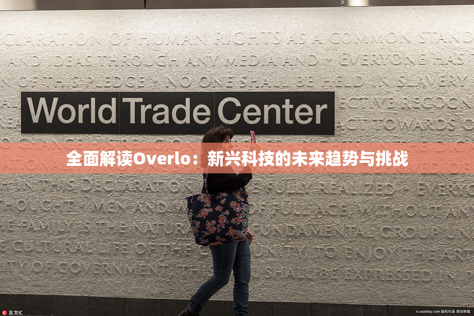 全面解读Overlo：新兴科技的未来趋势与挑战