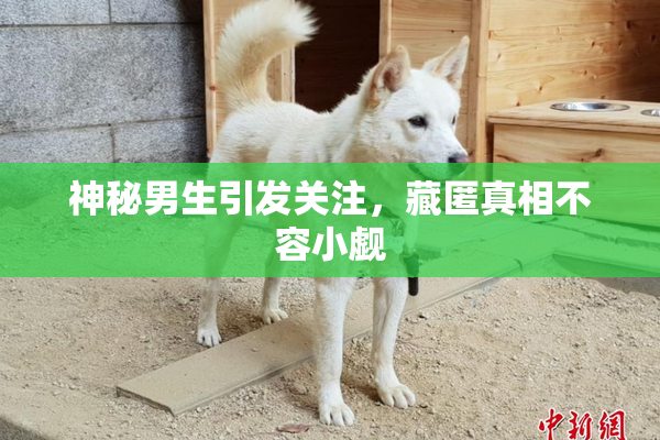 神秘男生引发关注，藏匿真相不容小觑