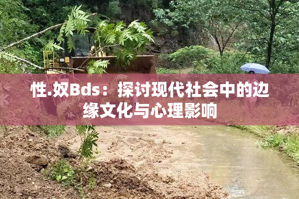 性.奴Bds：探讨现代社会中的边缘文化与心理影响