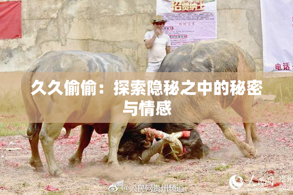 久久偷偷：探索隐秘之中的秘密与情感