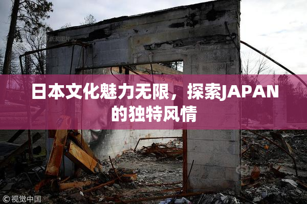 日本文化魅力无限，探索JAPAN的独特风情