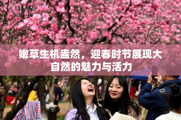嫩草生机盎然，迎春时节展现大自然的魅力与活力