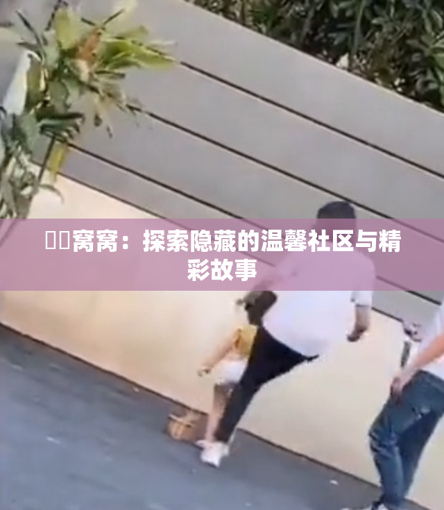 妺妺窝窝：探索隐藏的温馨社区与精彩故事