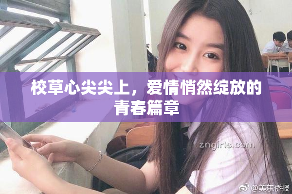 校草心尖尖上，爱情悄然绽放的青春篇章