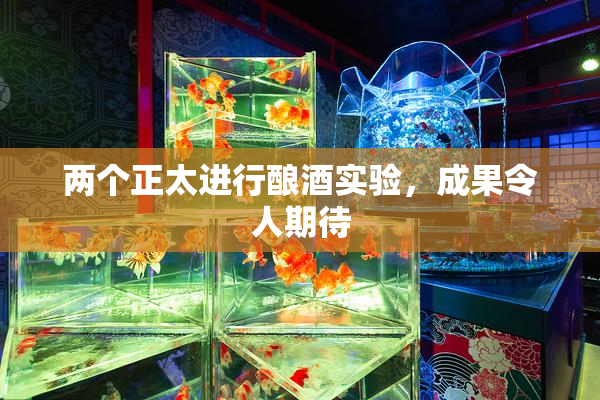 两个正太进行酿酒实验，成果令人期待
