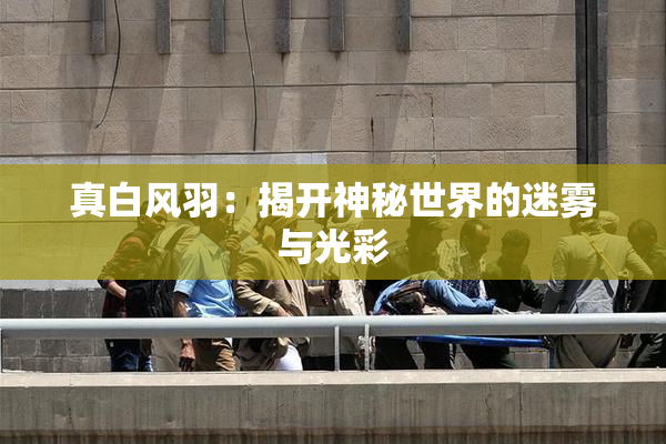 真白风羽：揭开神秘世界的迷雾与光彩