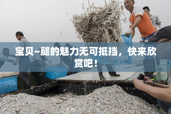 宝贝~腿的魅力无可抵挡，快来欣赏吧！