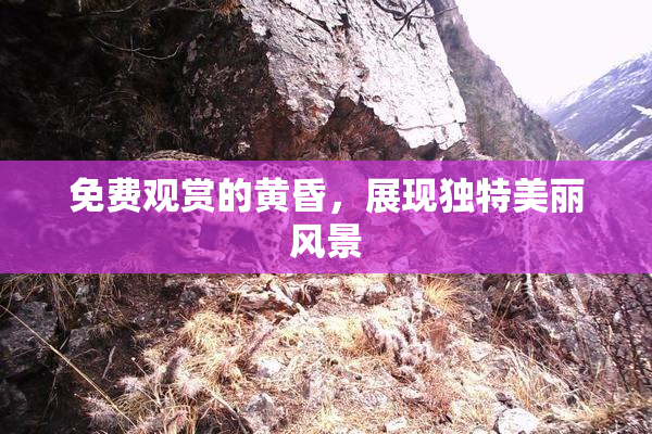 免费观赏的黄昏，展现独特美丽风景