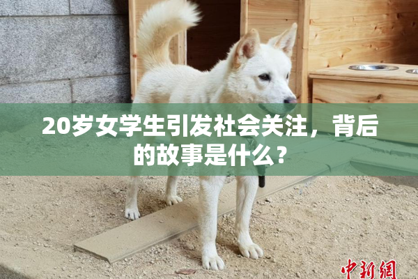 20岁女学生引发社会关注，背后的故事是什么？