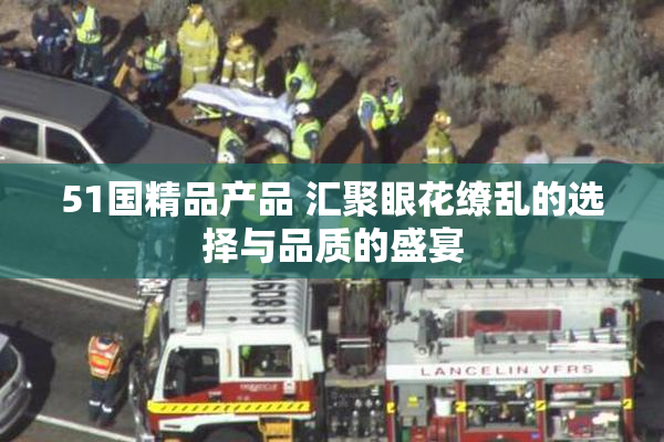 51国精品产品 汇聚眼花缭乱的选择与品质的盛宴