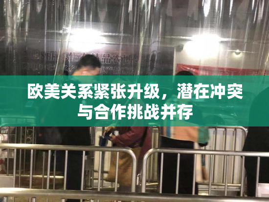 欧美关系紧张升级，潜在冲突与合作挑战并存