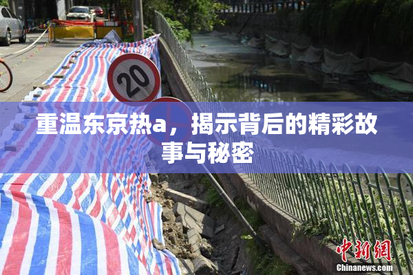 重温东京热a，揭示背后的精彩故事与秘密