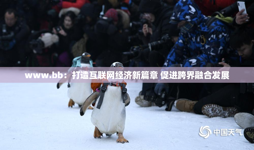 www.bb：打造互联网经济新篇章 促进跨界融合发展