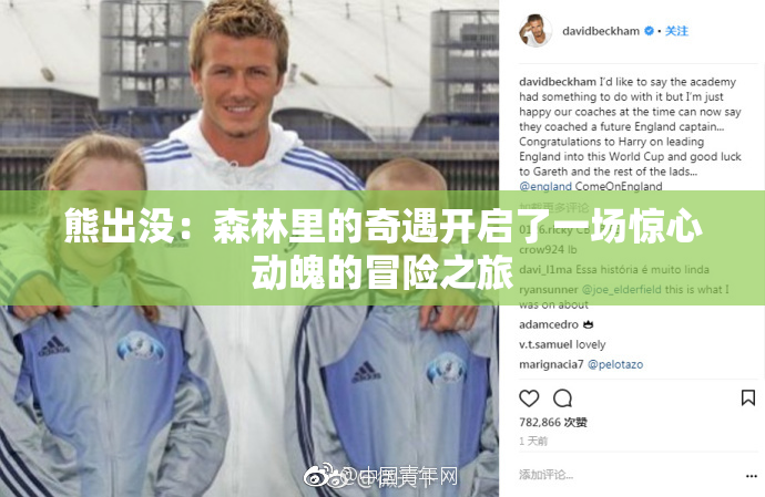 熊出没：森林里的奇遇开启了一场惊心动魄的冒险之旅