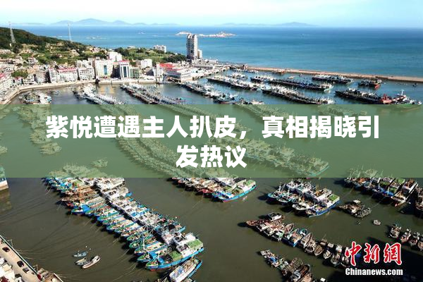 紫悦遭遇主人扒皮，真相揭晓引发热议