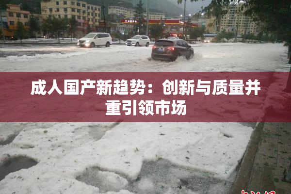 成人国产新趋势：创新与质量并重引领市场