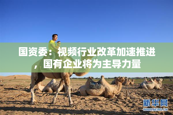 国资委：视频行业改革加速推进，国有企业将为主导力量