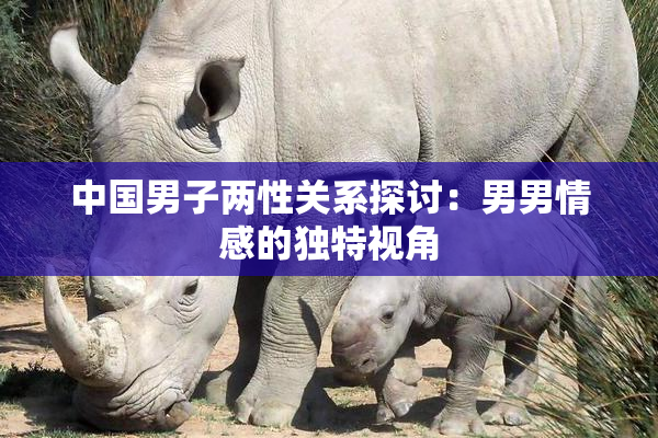 中国男子两性关系探讨：男男情感的独特视角