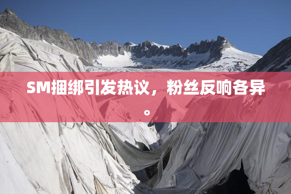 SM捆绑引发热议，粉丝反响各异。