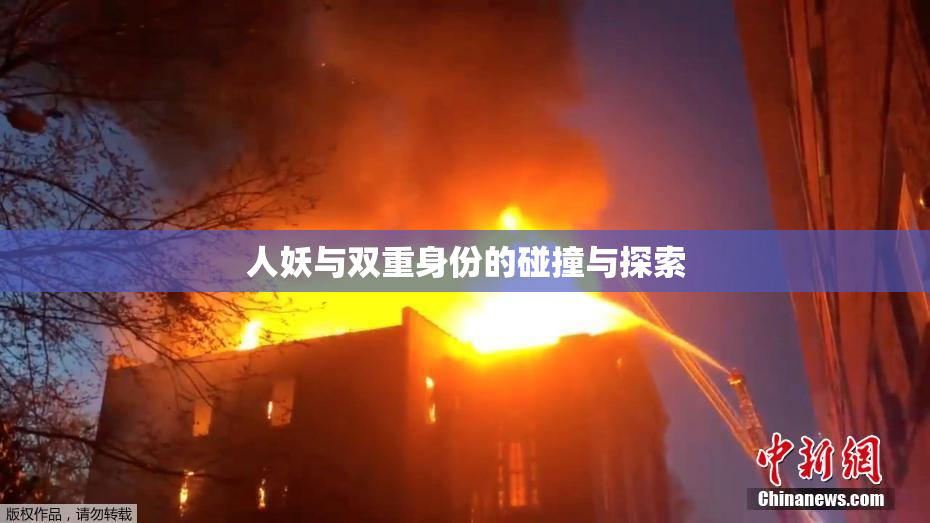人妖与双重身份的碰撞与探索