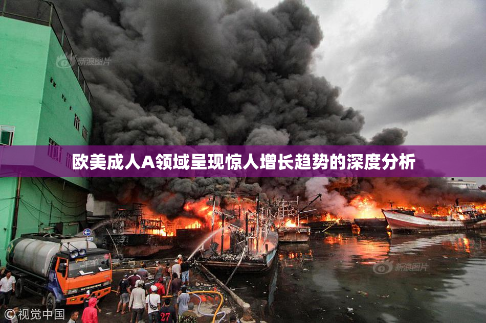 欧美成人A领域呈现惊人增长趋势的深度分析
