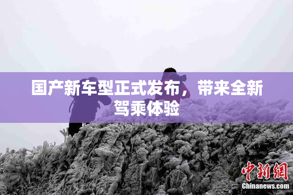 国产新车型正式发布，带来全新驾乘体验