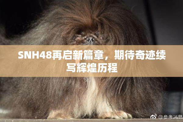 SNH48再启新篇章，期待奇迹续写辉煌历程