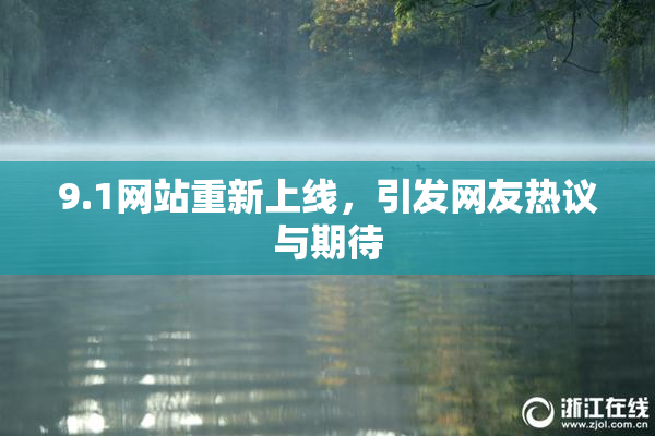 9.1网站重新上线，引发网友热议与期待