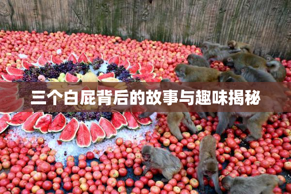 三个白屁背后的故事与趣味揭秘