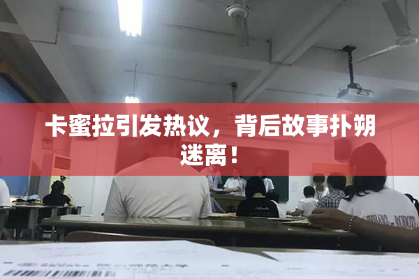 卡蜜拉引发热议，背后故事扑朔迷离！