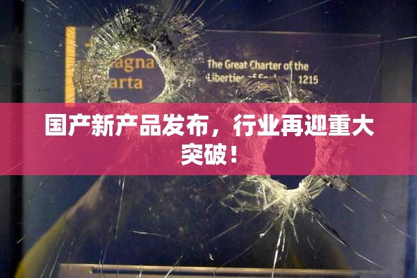 国产新产品发布，行业再迎重大突破！