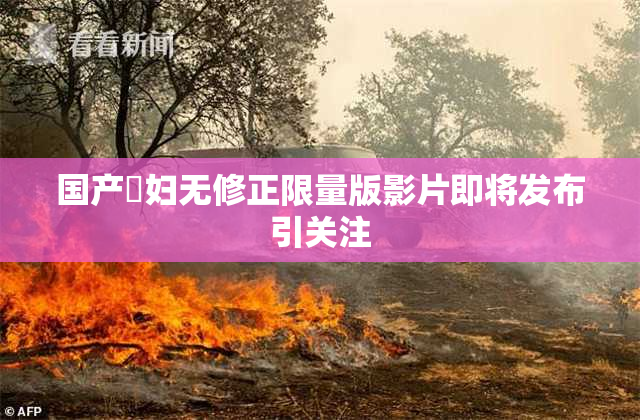 国产婬妇无修正限量版影片即将发布引关注