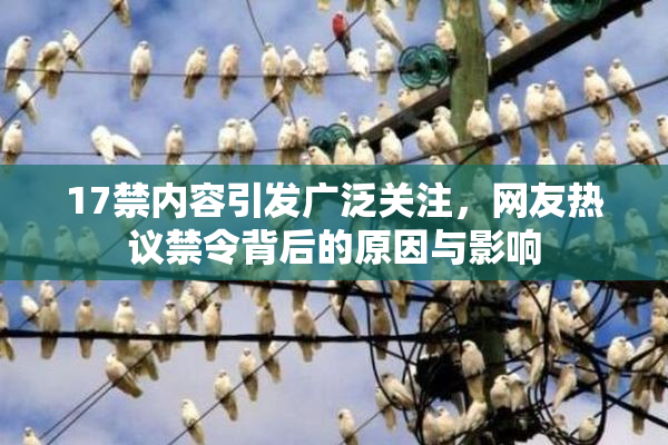17禁内容引发广泛关注，网友热议禁令背后的原因与影响