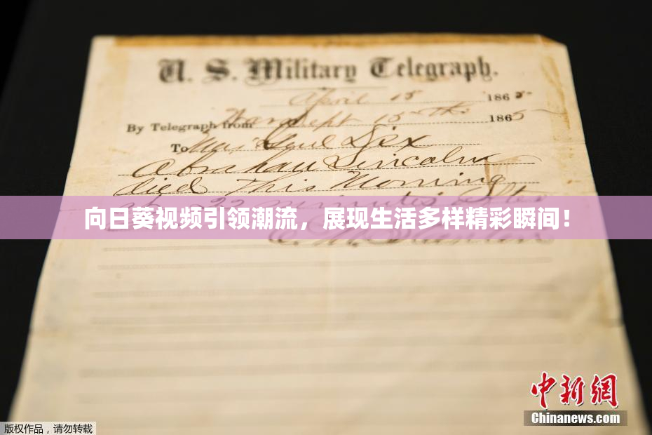 向日葵视频引领潮流，展现生活多样精彩瞬间！