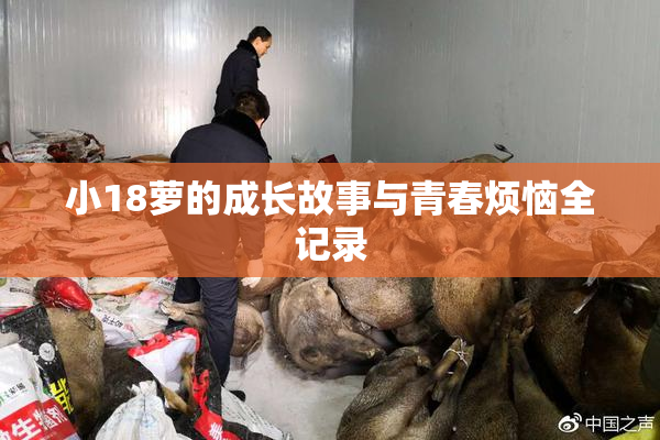 小18萝的成长故事与青春烦恼全记录
