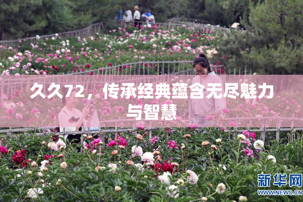 久久72，传承经典蕴含无尽魅力与智慧