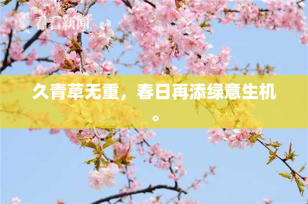 久青草无重，春日再添绿意生机。