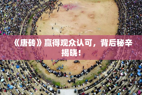 《唐砖》赢得观众认可，背后秘辛揭晓！