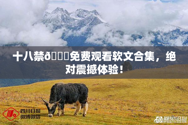 十八禁🔞免费观看软文合集，绝对震撼体验！