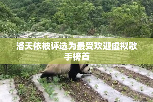 洛天依被评选为最受欢迎虚拟歌手榜首