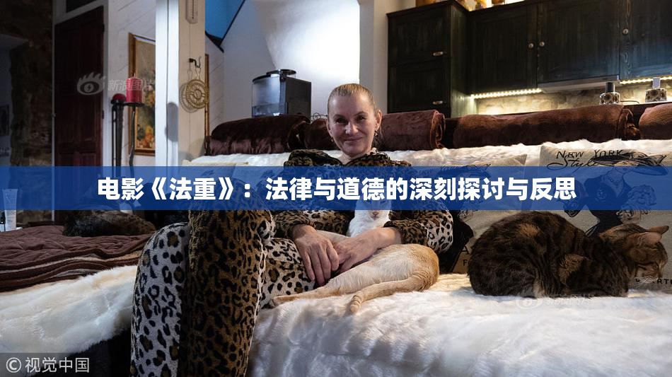 电影《法重》：法律与道德的深刻探讨与反思